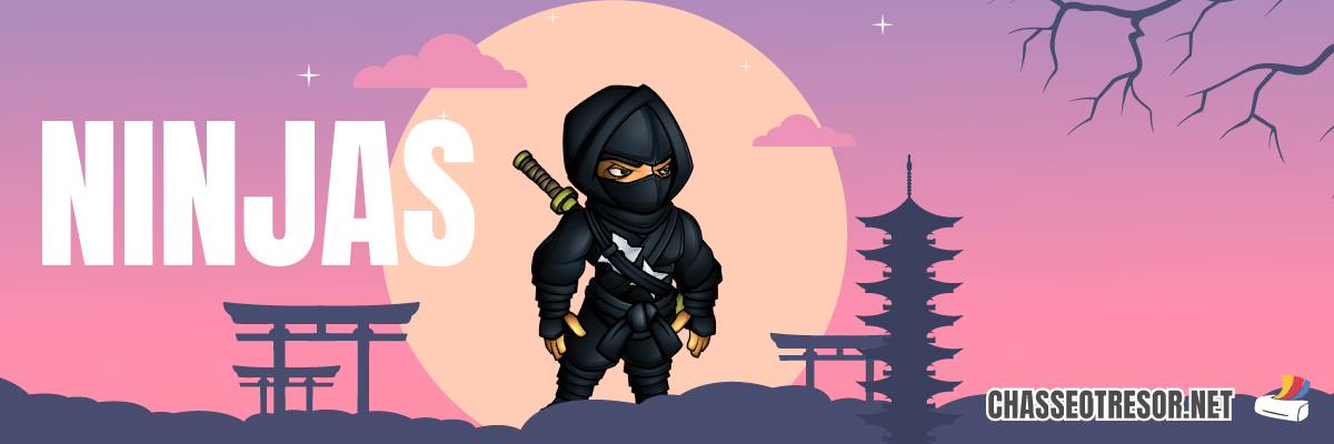Jeu pour anniversaire des Ninjas